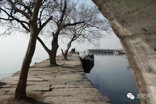 苏州西山爆料事件视频,视频揭露惊人真相  第1张