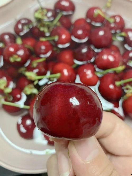 吃瓜网红事件樱桃是真的吗,真相揭秘，是真是假？  第2张