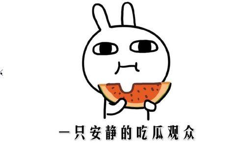 抖音吃瓜有什么网红,揭秘热门网红背后的故事  第1张