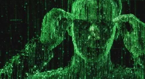 顶级黑客爆料视频下载软件,揭秘视频下载软件的秘密与技巧 第2张 顶级黑客爆料视频下载软件,揭秘视频下载软件的秘密与技巧 第2张